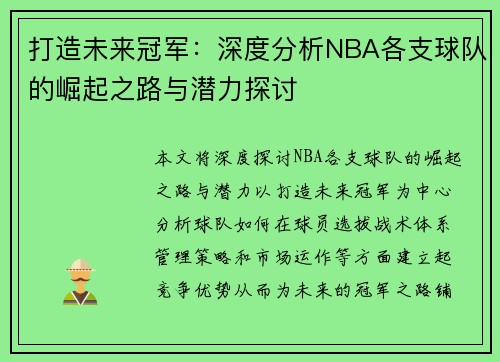 打造未来冠军：深度分析NBA各支球队的崛起之路与潜力探讨