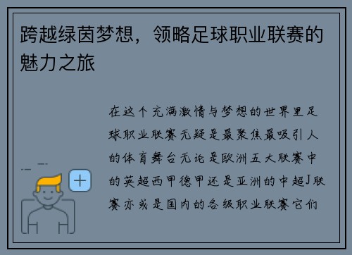 跨越绿茵梦想，领略足球职业联赛的魅力之旅