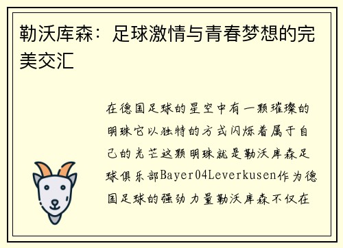 勒沃库森：足球激情与青春梦想的完美交汇
